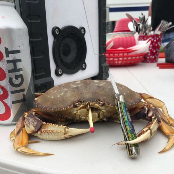 Meet your Posher, Fara - Picture 1 of 1